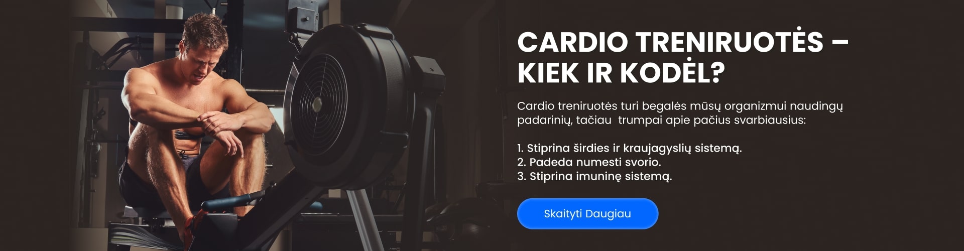 Tinklaraščio straipsnio banner